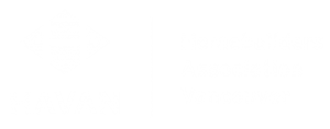 Havan Logo