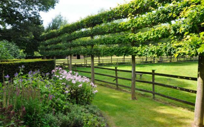 Tips and inspiration to spruce up your outdoor living area