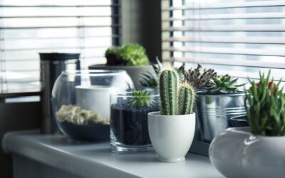 5 Easy tips to bring Feng Shui to your apartment